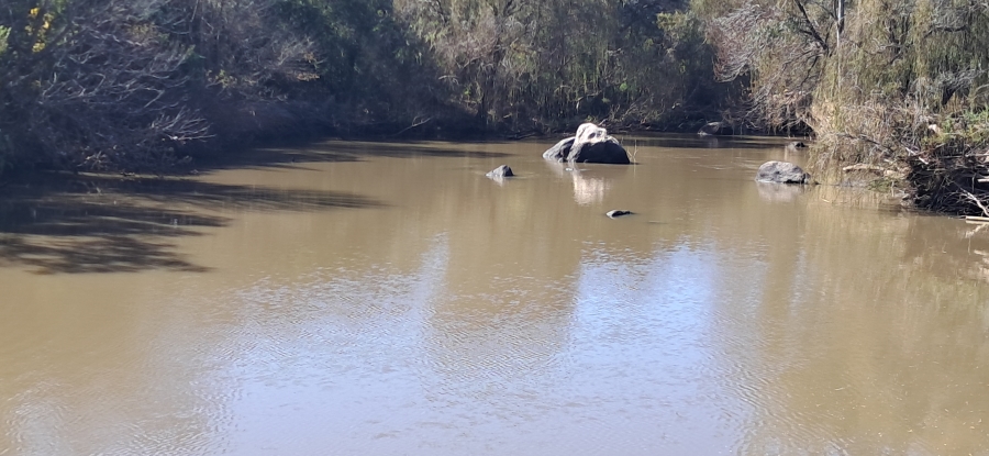 0 Bedroom Property for Sale in Vaal de Grace Nature Estate Free State